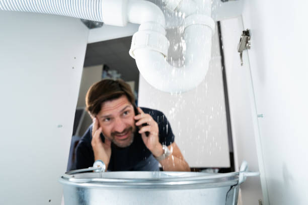Best Boilers & Radiators  in Glendale Heights, IL